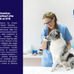 Fattura elettronica: no per i veterinari che inviano i dati al STS